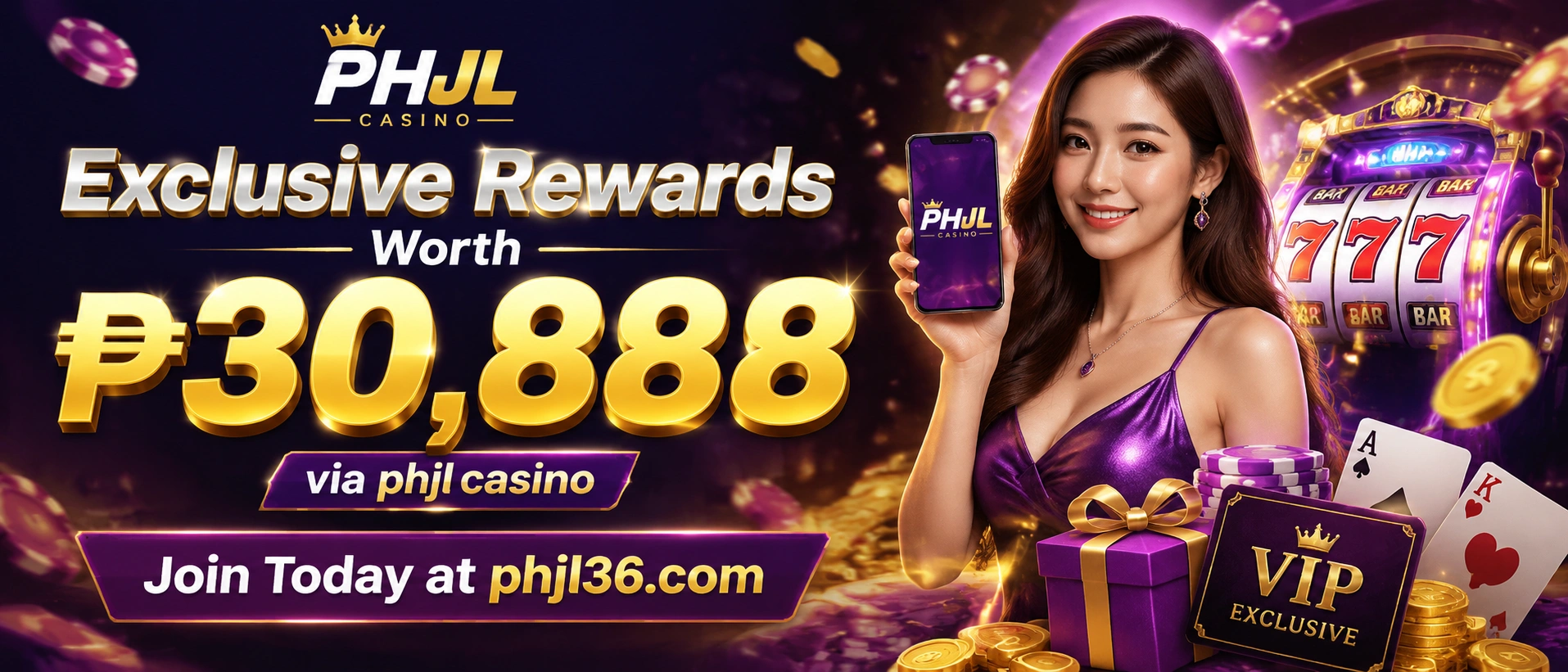 Promotion banner 2